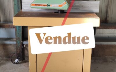 IDEMO85 vend une toupie d&rsquo;occasion SCM T110 avec entraineur