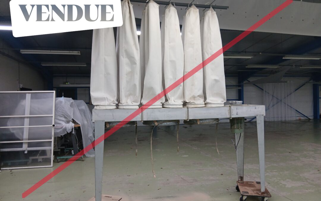 IDEMO85 vend une aspiration d&rsquo;occasion 3 sacs